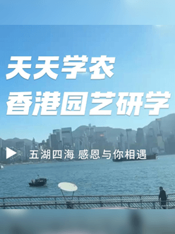 与香港园艺学会联合举办香港园艺研学，专业园境师带队讲解。